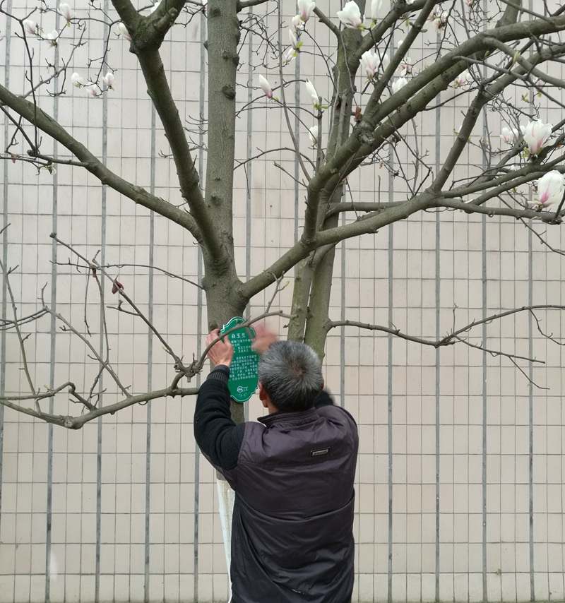 1489547632851068.jpg 01.jpg