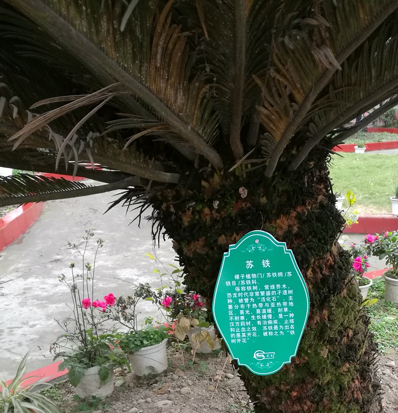 1489547656102404.jpg 03.jpg