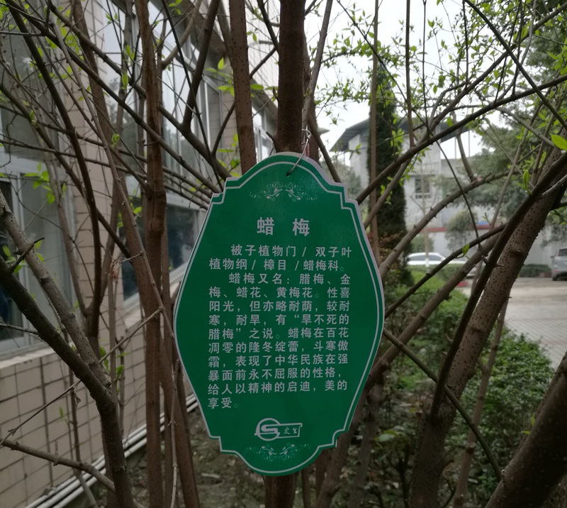 1489547664127841.jpg 04.jpg