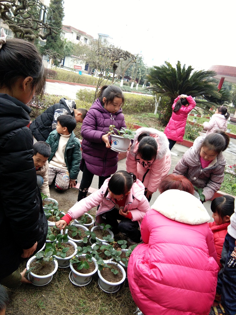 1489623692233481.jpg 02.JPG