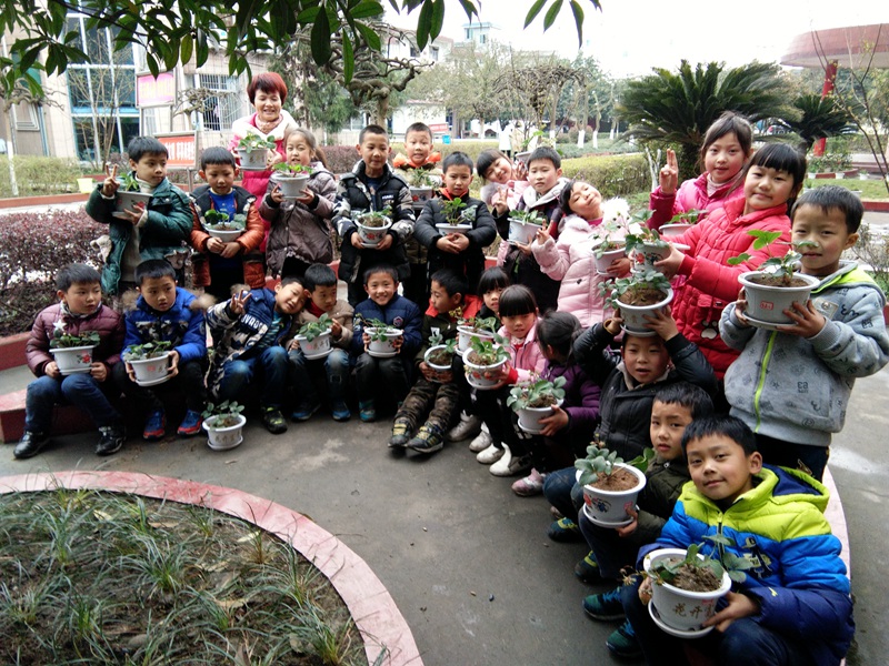 1489623720645069.jpg 05.JPG