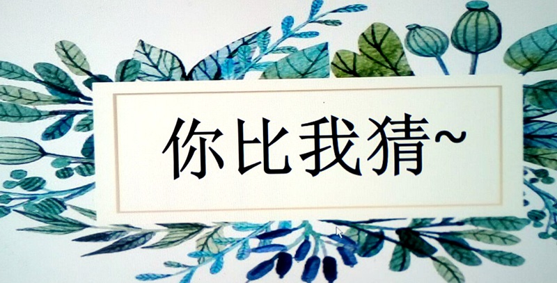 1491521841527251.jpg 03.jpg