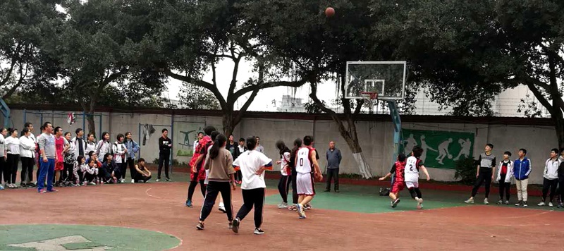 1491522348282002.jpg 03.jpg