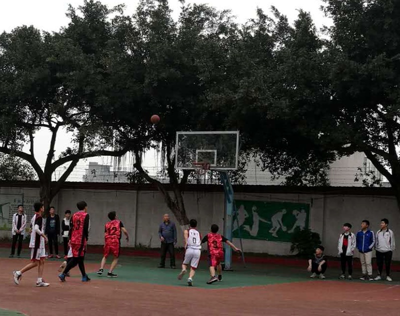 1491522356852712.jpg 04.jpg