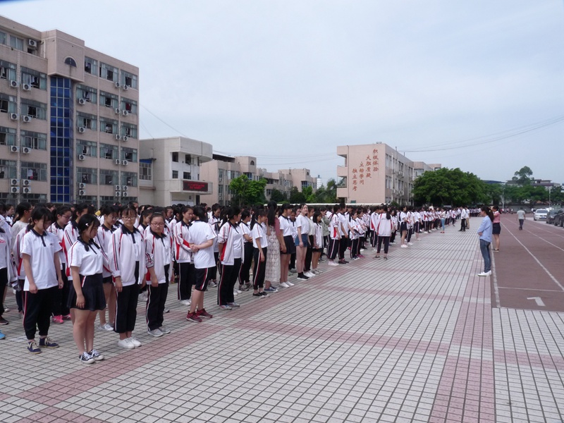 1494919156111741.jpg 04.JPG