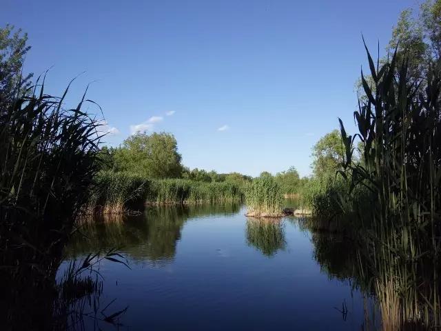 1495698390644932.jpg 01.jpg