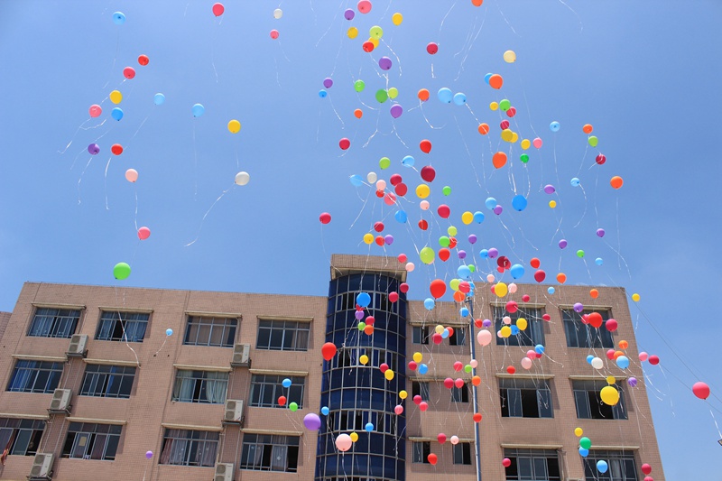 1496740914836622.jpg 02.JPG