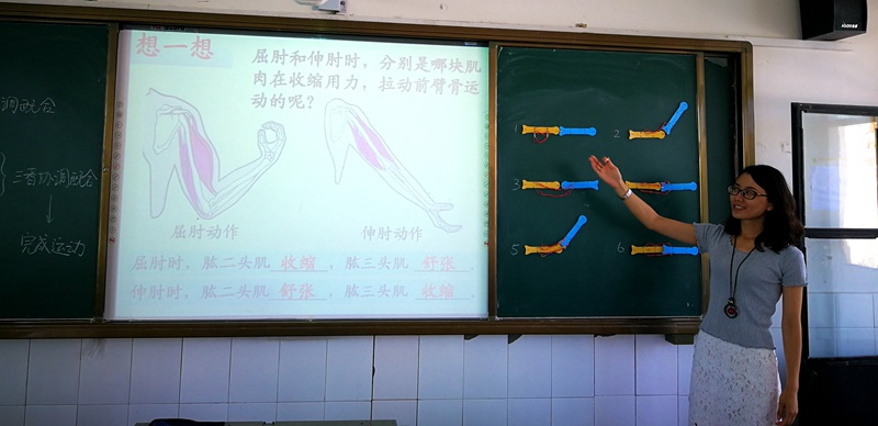 1498534237558849.jpg 01.jpg