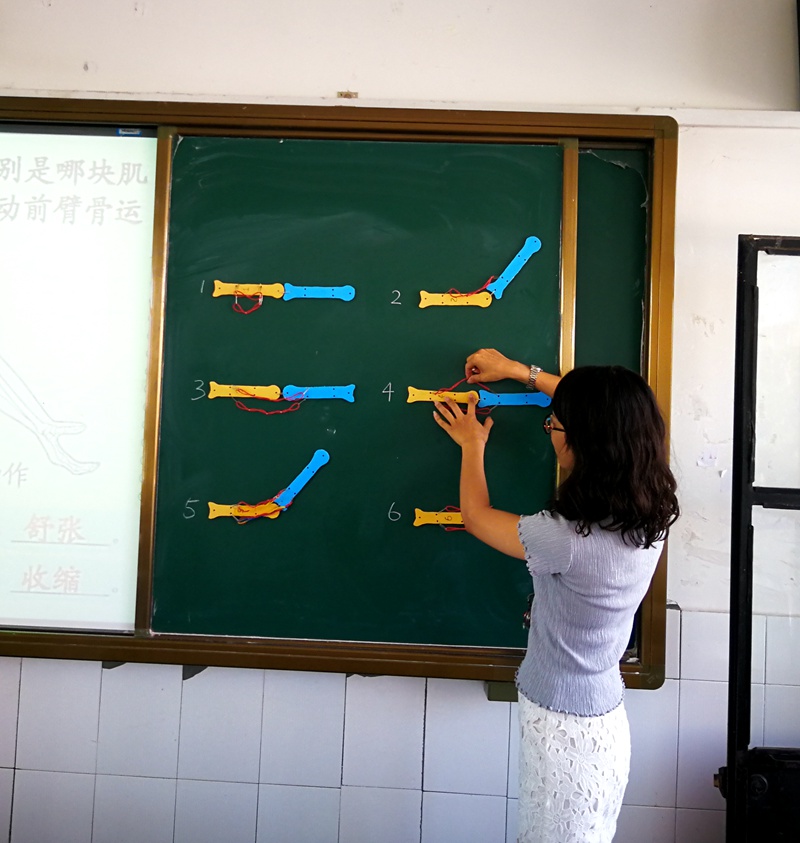 1498534247100485.jpg 02.jpg