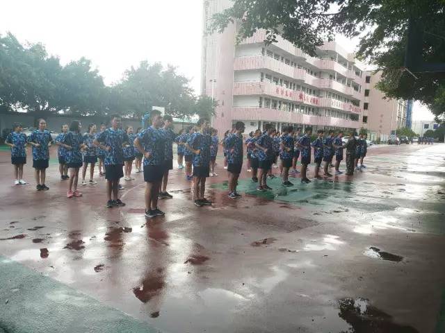 1504254872235628.jpg 14.jpg