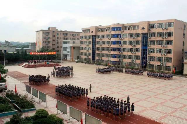 1504255487588309.jpg 47.jpg