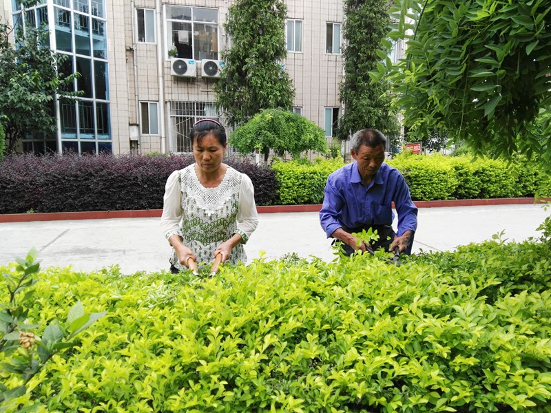 1528245750447716.jpg 1528189310501911.jpg