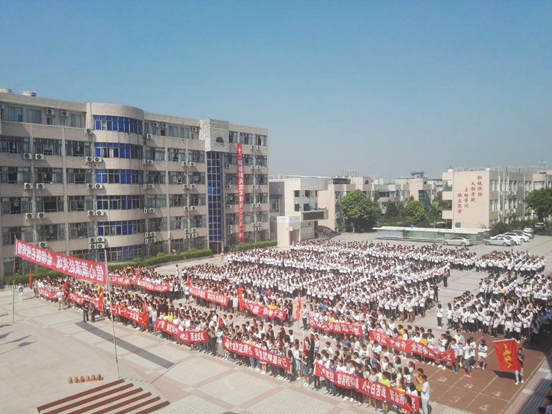 1528269113132786.jpg 1729569203.jpg