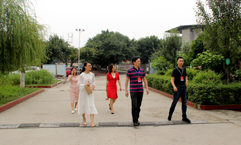 1529136310880202.jpg 01.JPG