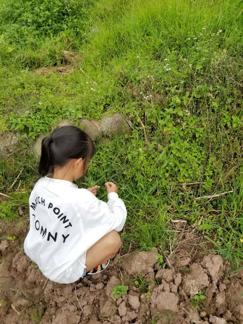 1529459830100401.jpg QQ圖片20180620095454.jpg