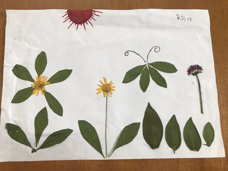 1529459964369675.jpg QQ圖片20180620095443.jpg