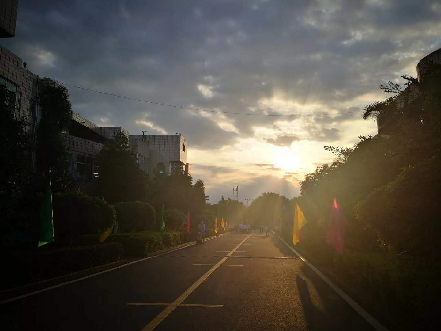 1560222798121815.jpg webwxgetmsgimg (6).jpg